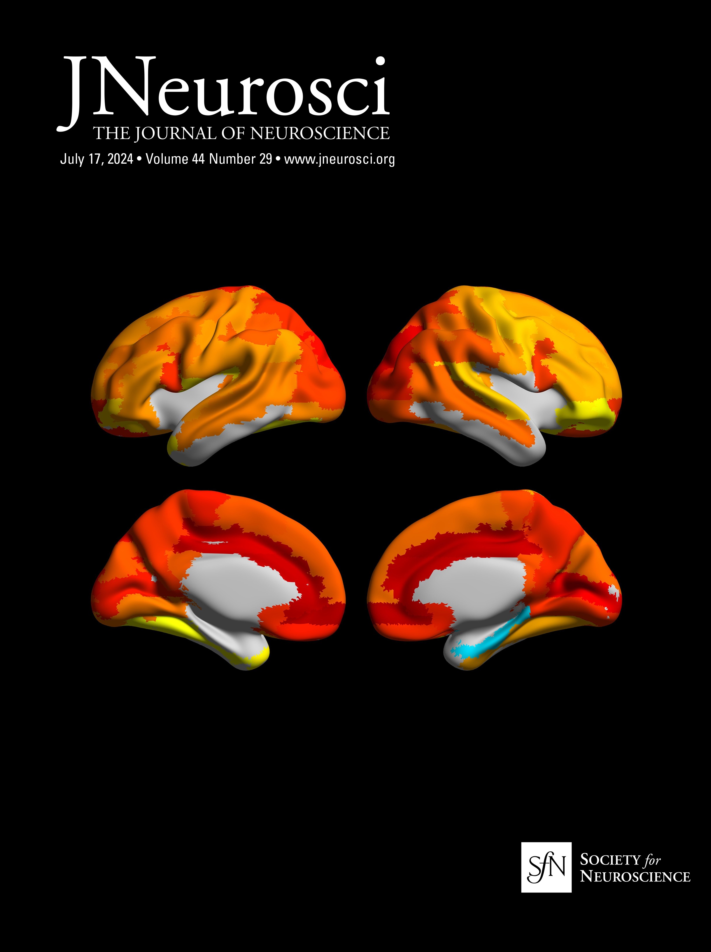 ChloeG_Neuro's tweet card. Memory exerts a powerful influence over behavior. The ability of past experiences to guide future actions suggests there is an internal representation of those experiences stored in the brain. The...