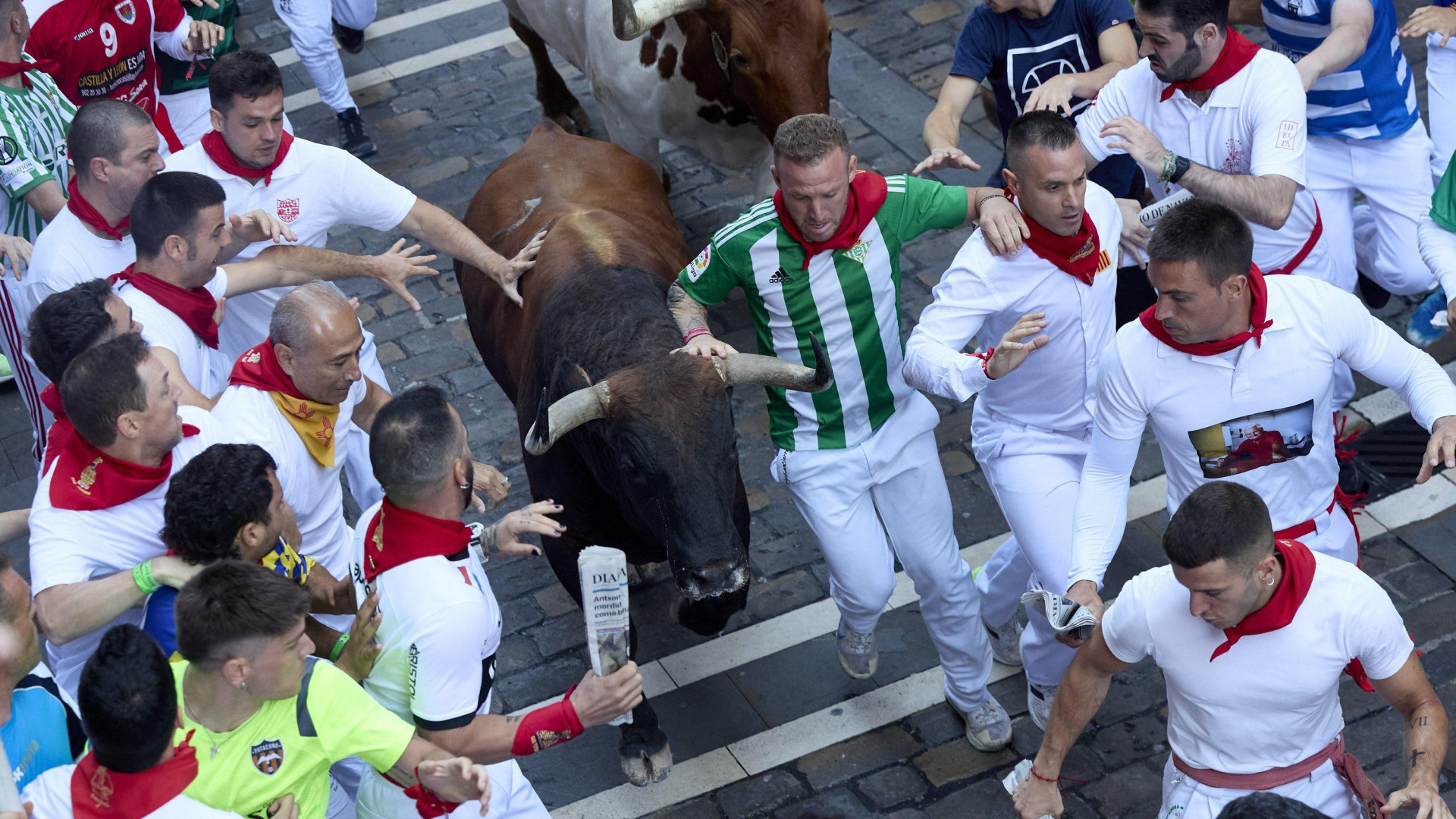 copenavarra's tweet card. Dos de ellos han sido trasladados al Hospital Universitario de Navarra, otro al centro San Martín y un cuarto ha sido atendido en la enfermería de la Plaza de Toros.