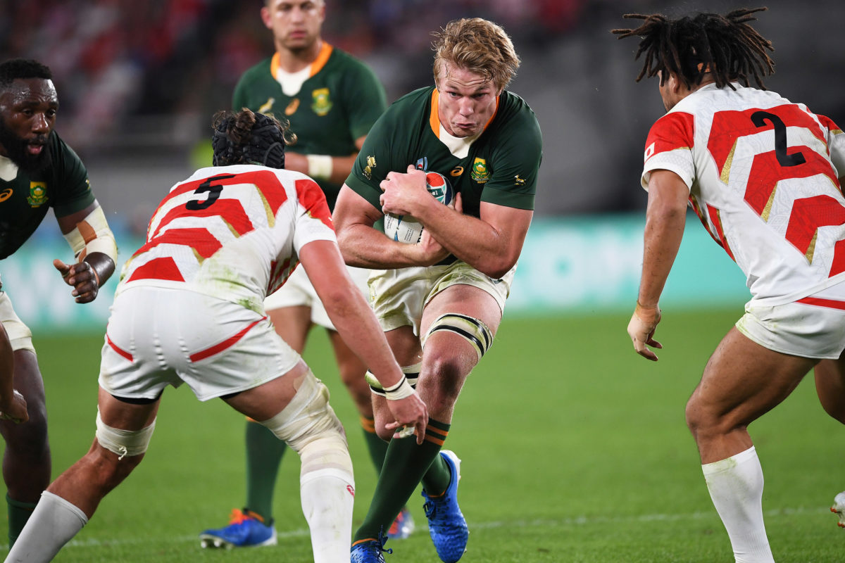 SARugbymag's tweet card. The Springboks will kick off their end-of-year tour against Japan in Brighton – the site of their most shocking defeat.
