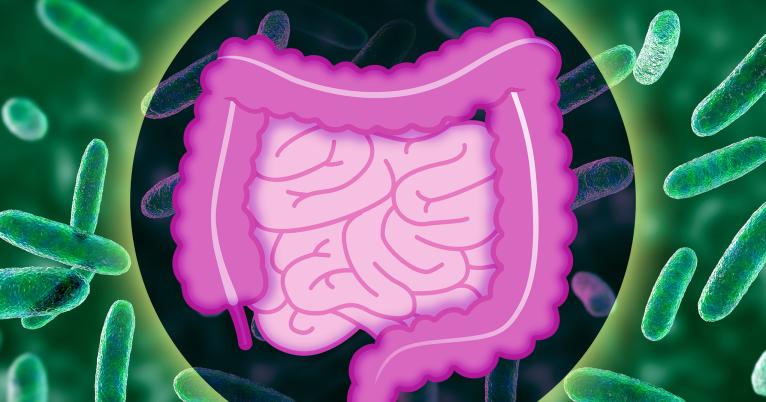 microbelab's tweet card. Yale researchers uncovered a novel mechanism by which “good” bacteria colonize the gut. The finding could help spur the development of new probiotic therapies.