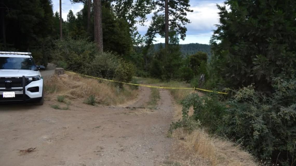 ABC10's tweet card. The Nevada County Sheriff's Office investigates after human remains were found by a father and son in Nevada City.