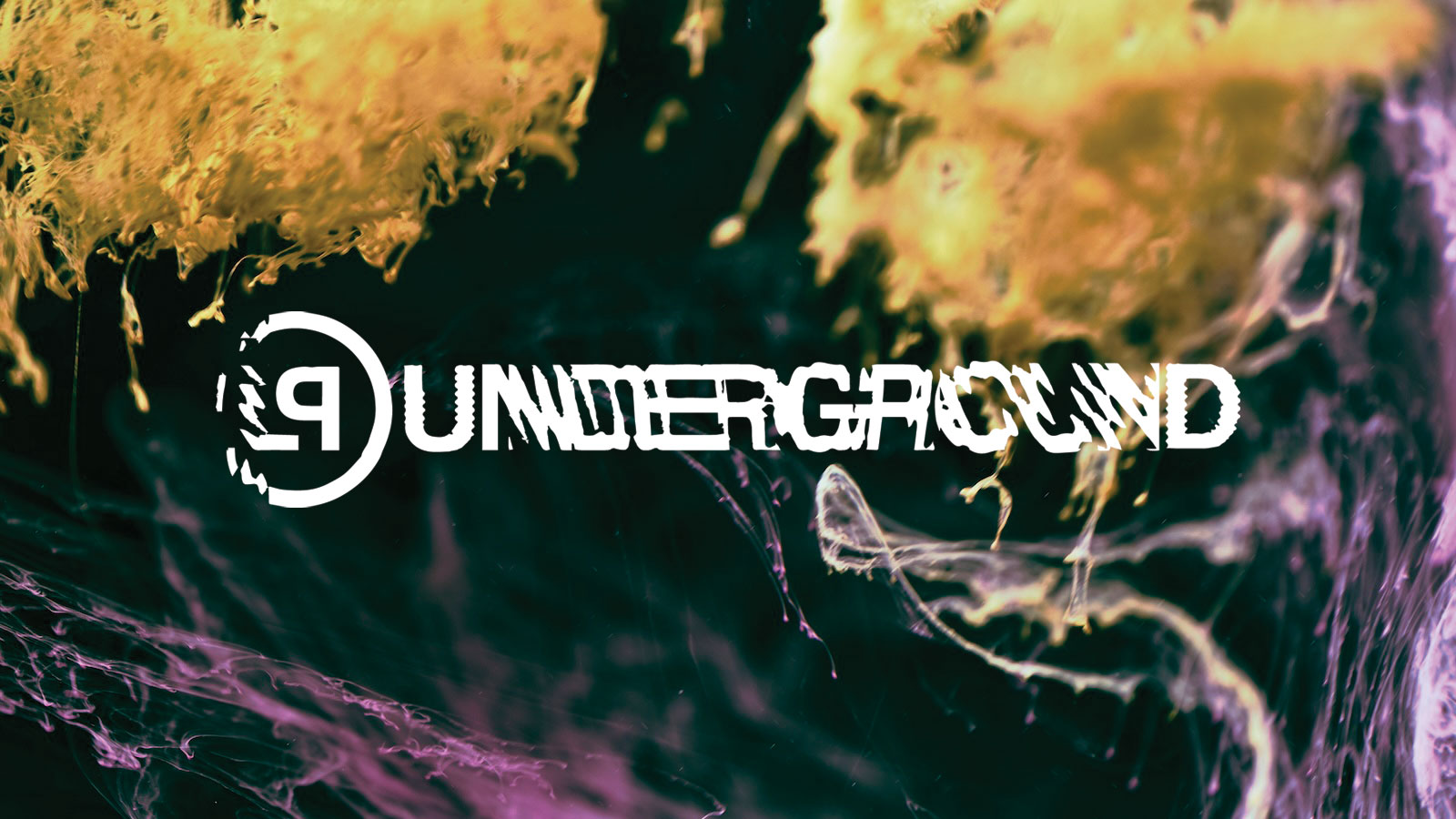 lpunderground's tweet card. The Linkin Park Underground [LPU] was founded in 2001 as a way for LINKIN PARK to connect directly with the people who support the band, and cultivate a central meeting-place for the LINKIN PARK...