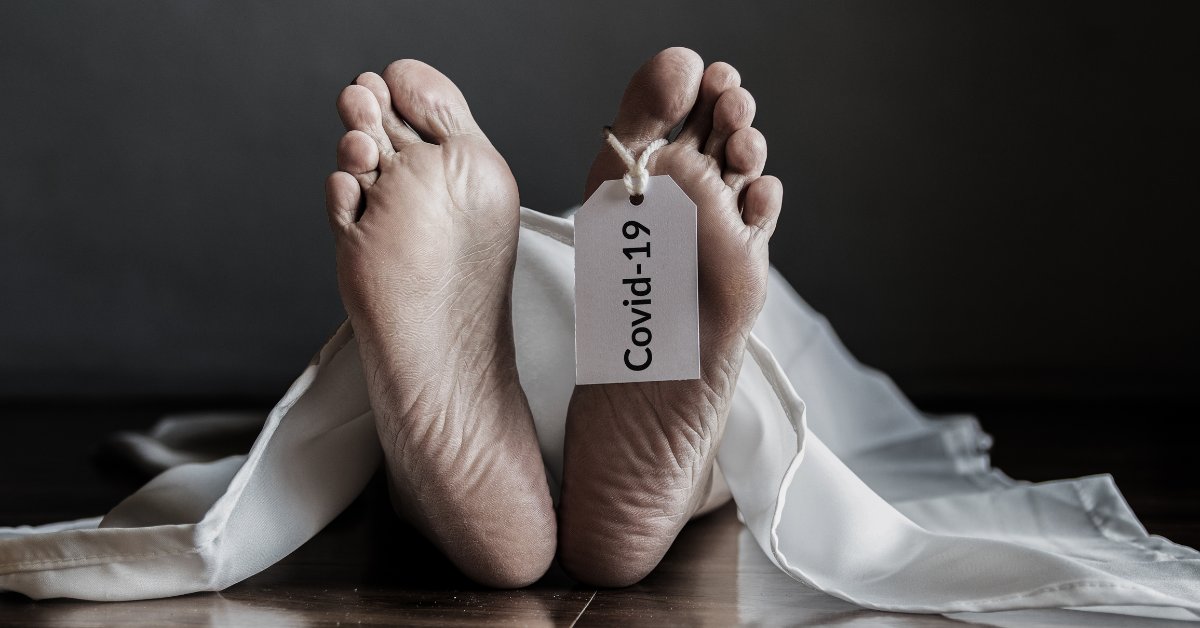 TheModernMemo's tweet card. A study published in June found a significant link between COVID-19 vaccine cancer deaths amongst a Japanese cohort, undoing years of positive gains