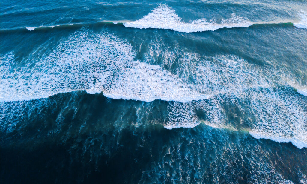 CO2REhub's tweet card. A non-profit effort advancing ocean-based carbon dioxide removal