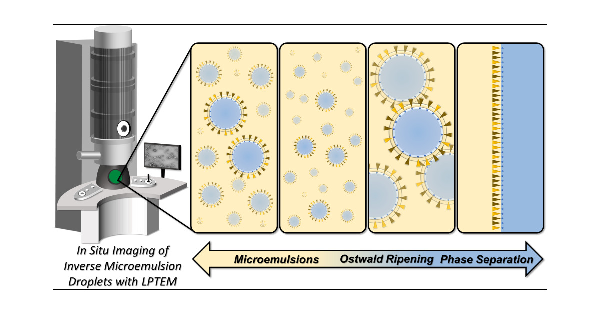 LowDispersity's tweet card. Thermoresponsive polymer assemblies are of growing interest in fields ranging from photonics to drug delivery, with their phase transitions often attributed to upper- or lower-critical solution...