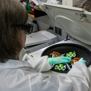 graphenea's tweet card. The novel bioink is biocompatible and mechanically favourable