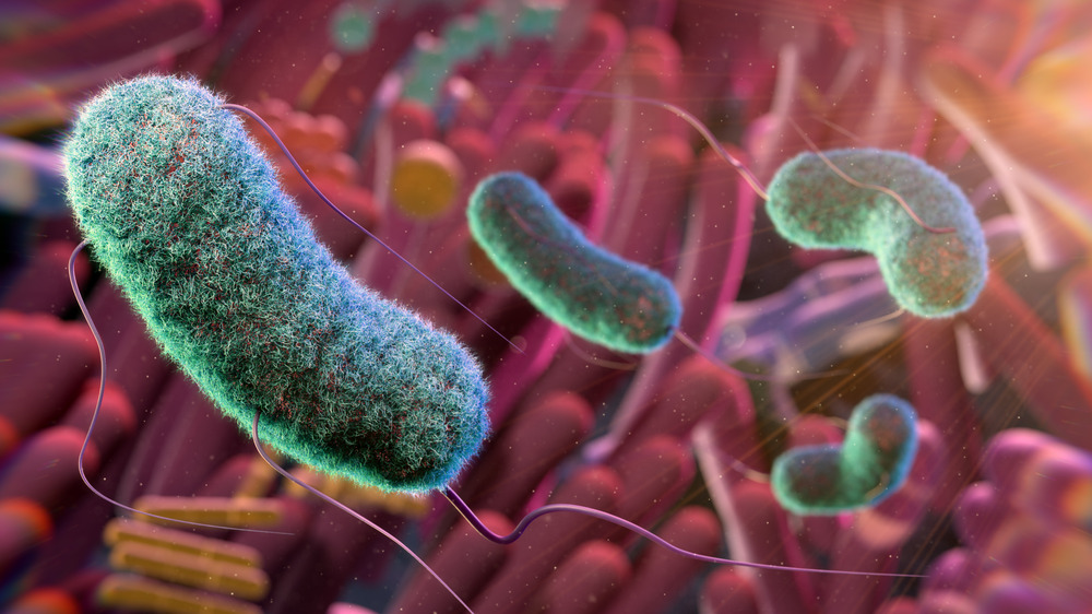 Boca_Scientific's tweet card. Assessing the balance of gut microbes could act as an early-warning biomarker for gestational diabetes, offering treatment and prevention strategies.