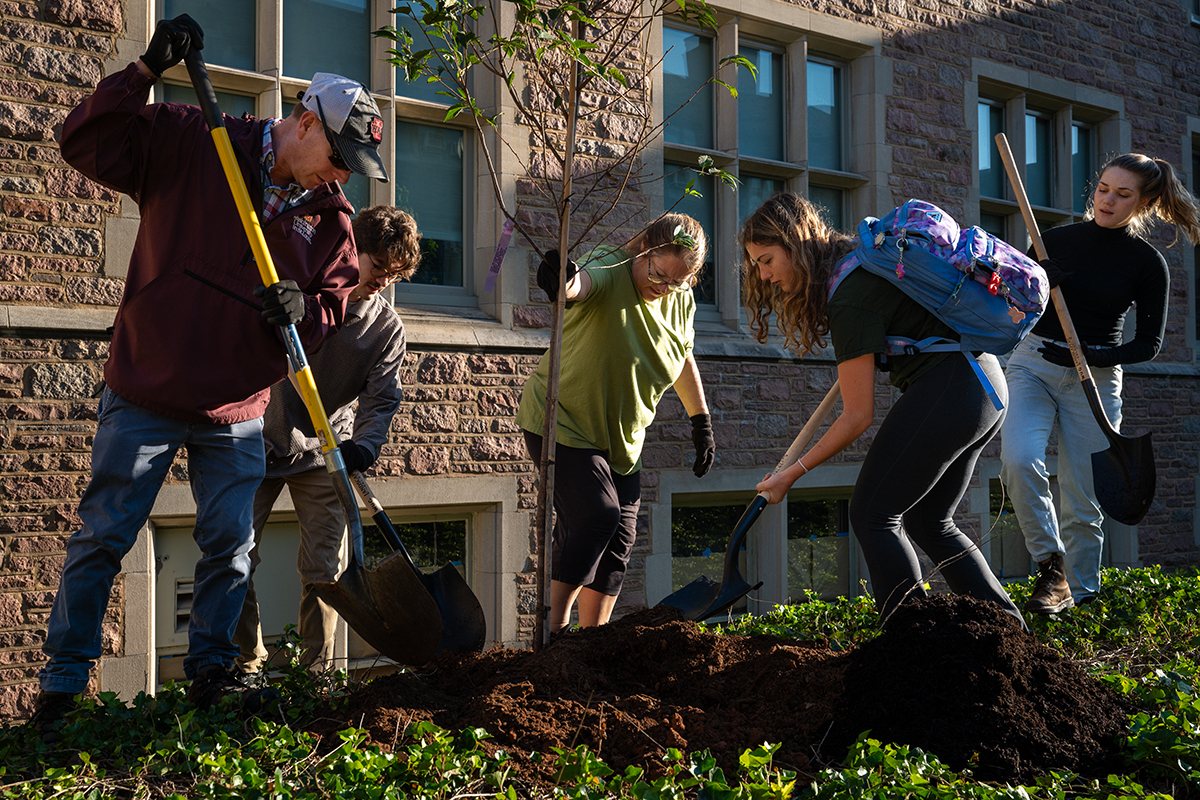 WashUChancellor's tweet card. The WashU Arboretum, home to some 6,500 trees across the Danforth Campus, recently received Level III accreditation by the ArbNet Arboretum Accreditation Program. 