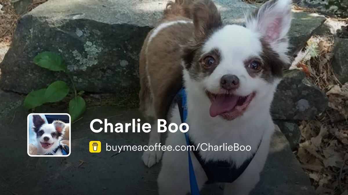 catwode's tweet card. Hi everypawdy, it's me, Charlie Boo! Dis iz da story of Mama and Me!In 2021, shortly afta Mama saved me from da Shelter, my Gramma got gravely sick & waz in a hospital cross da country. Travelin t