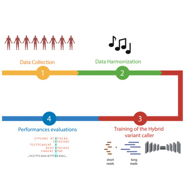 CellRepMethods's tweet card. Gambardella shows that shallow short- and long-read sequencing combined with a retrained DeepVariant model improves small variant detection. This hybrid strategy offers a cost-effective alternative...