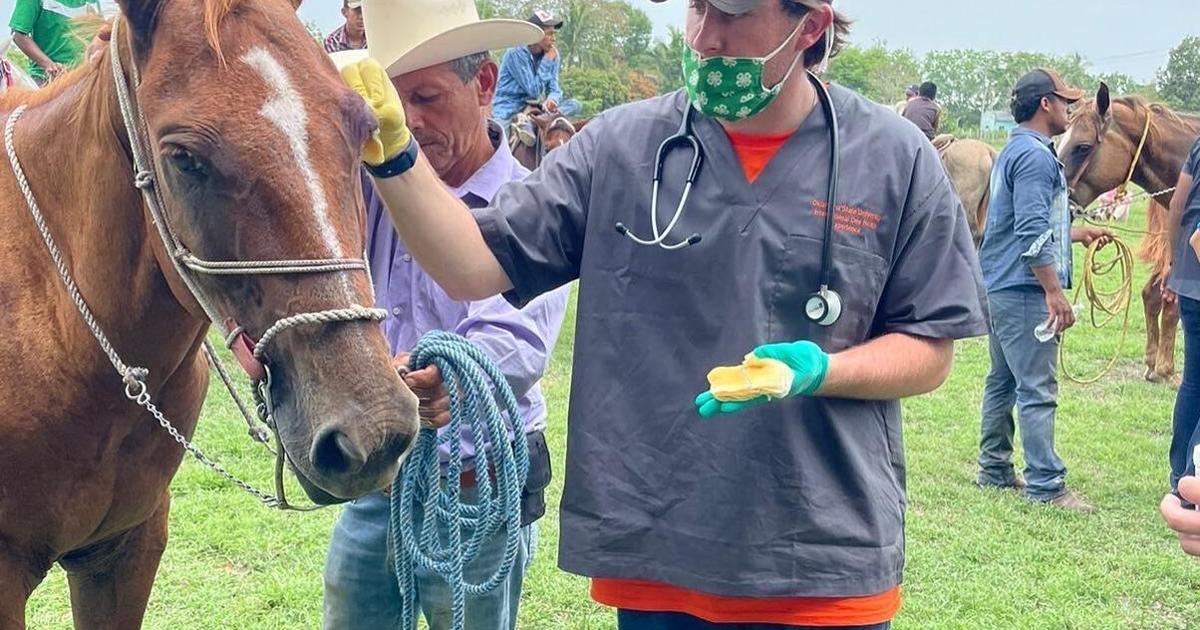 FarmTalkNews's tweet card. Prioritizing livestock health, mitigating disease outbreaks, and protecting America’s vital food supply, large animal veterinarians play a critical role in rural communities and food production. Yet,...