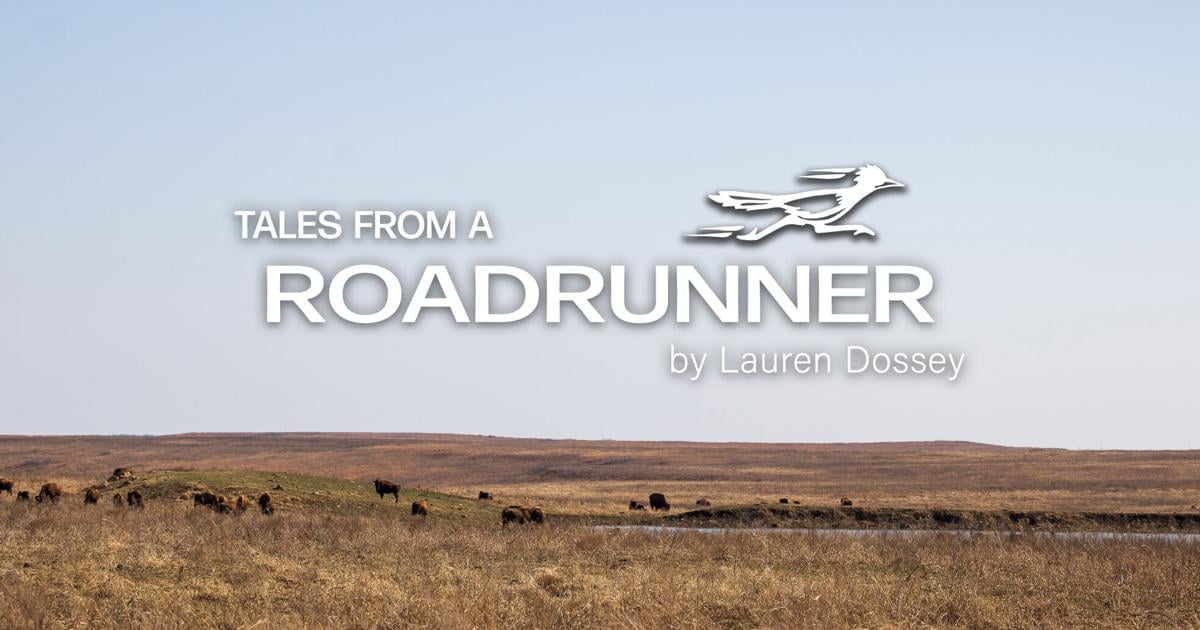 FarmTalkNews's tweet card. This has been long overdue, so I’m sorry to those who were confused by the lack of Road Runner content in the previous issue of Farm Talk. I’ve been busy,