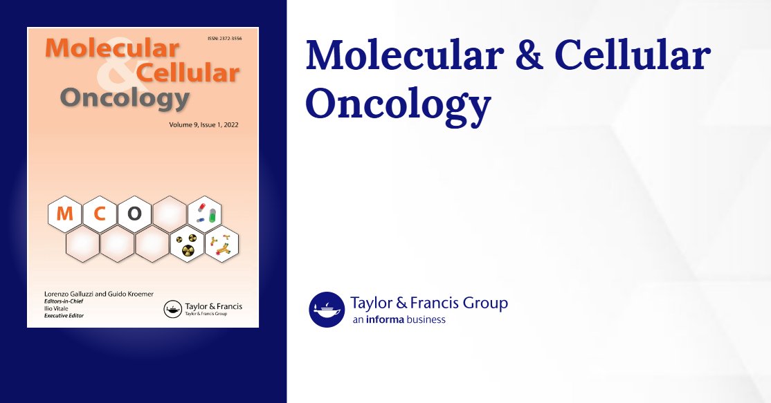 alberto_inga's tweet card. The search for mechanisms underlying different cellular responses to the treatment with Nutlin-3, an MDM2 inhibitor that unleashes p53, revealed a translational control mechanism involving the RNA ...