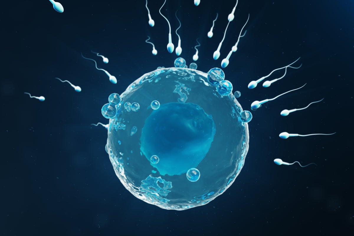 interACT_adv's tweet card. Ova don’t make a woman, and sperm don’t make a man