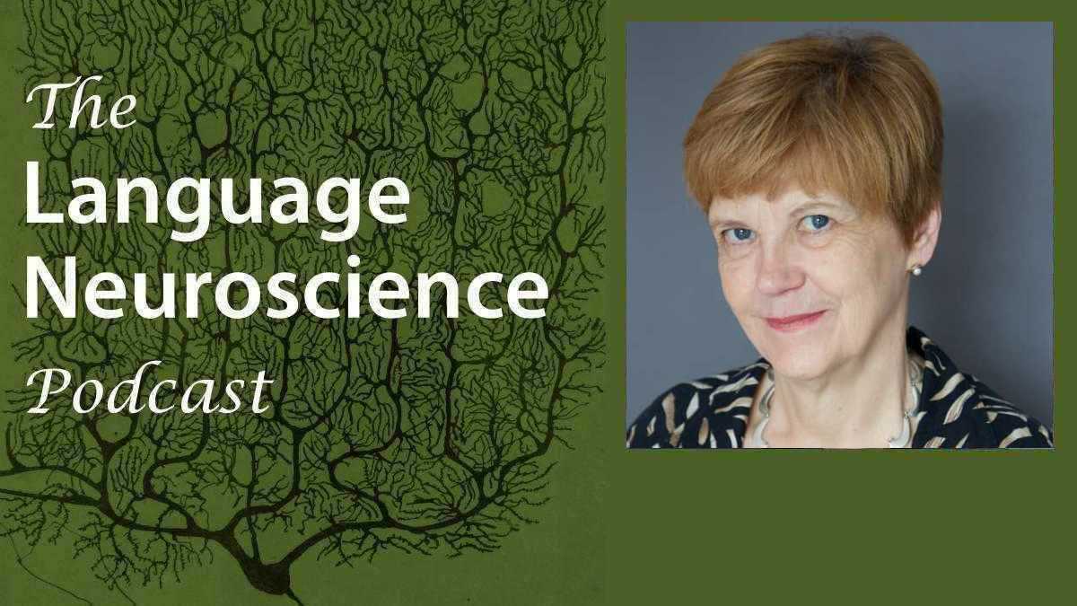 smwilsonau's tweet card. Language Neuroscience Podcast Episode 29: Developmental language disorder and its neural basis with...