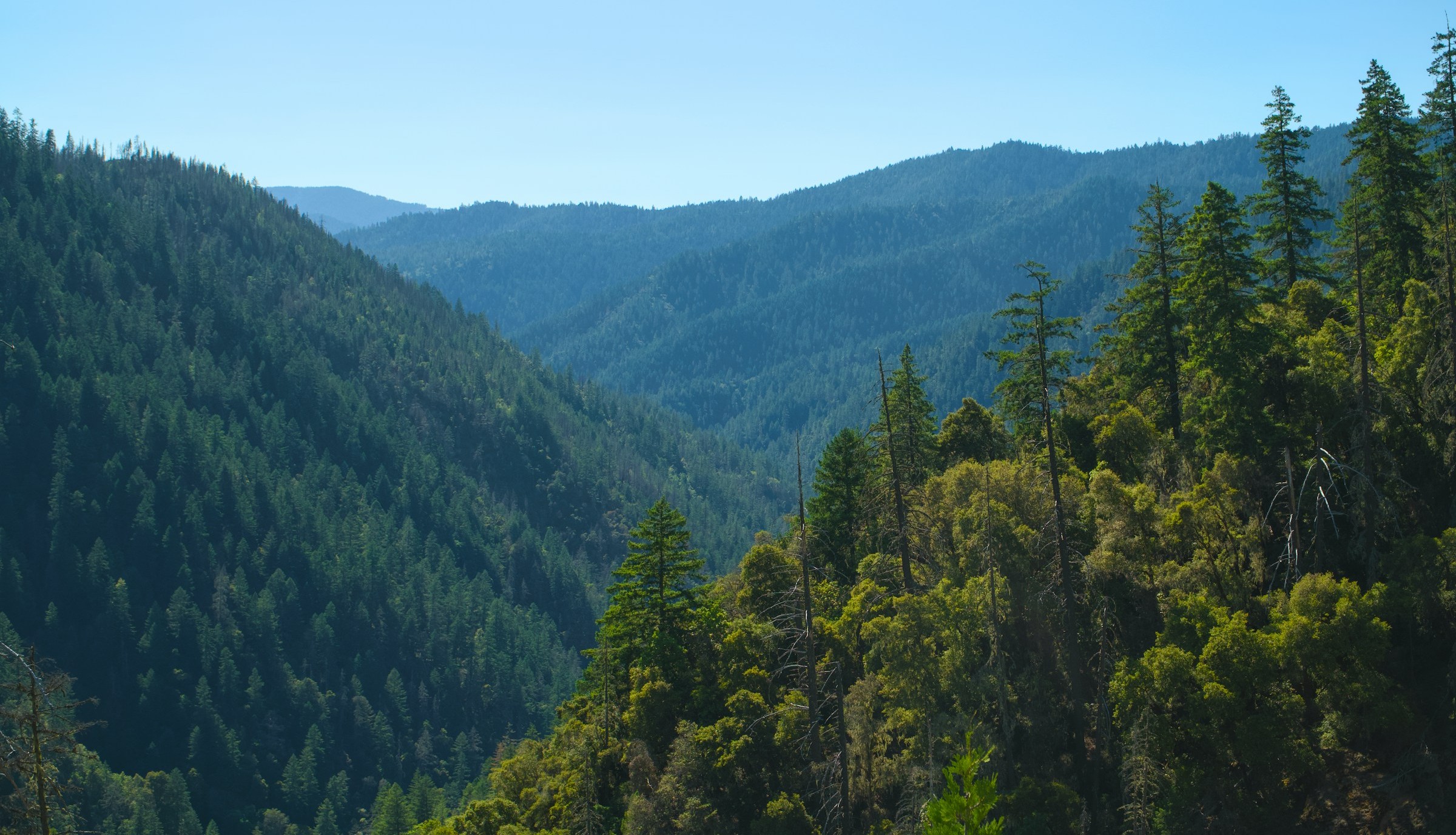 FrontierGroupUS's tweet card. For almost a quarter of a century, the Roadless Rule has protected thousands of acres of forest across the United States, including trees older than the nation itself. Its rollback will be disastrous...