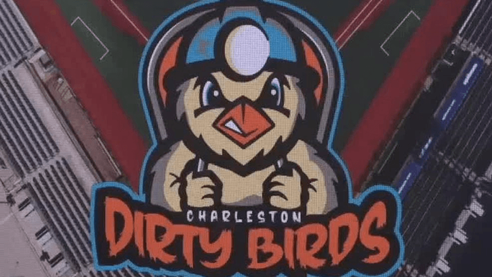 wchs8fox11's tweet card. The Charleston Dirty Birds have etched their names in baseball history.Sunday night in Long Island, the Dirty Birds mashed 10 home runs in one game. If that nu