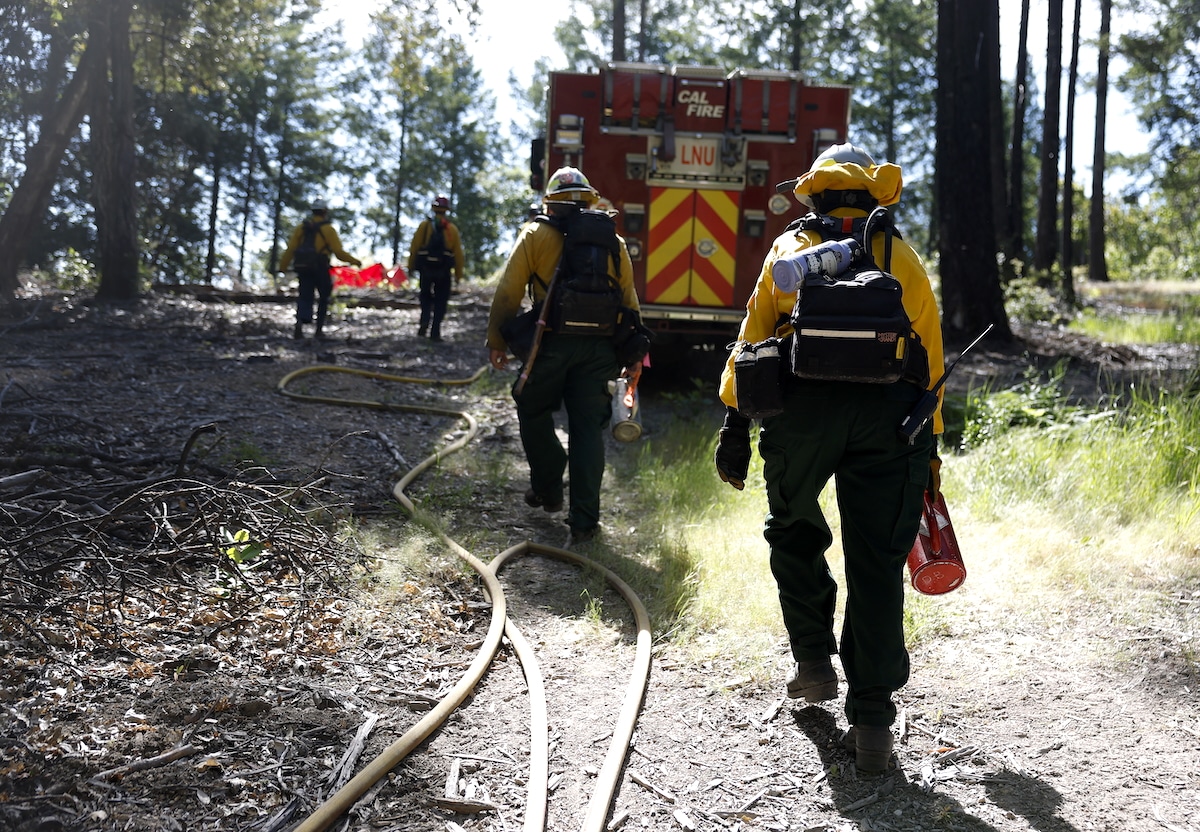 EcoWatch's tweet card. More than 25% of USFS firefighting positions are vacant, creating shortages as extreme conditions lead to wildfires across the country.