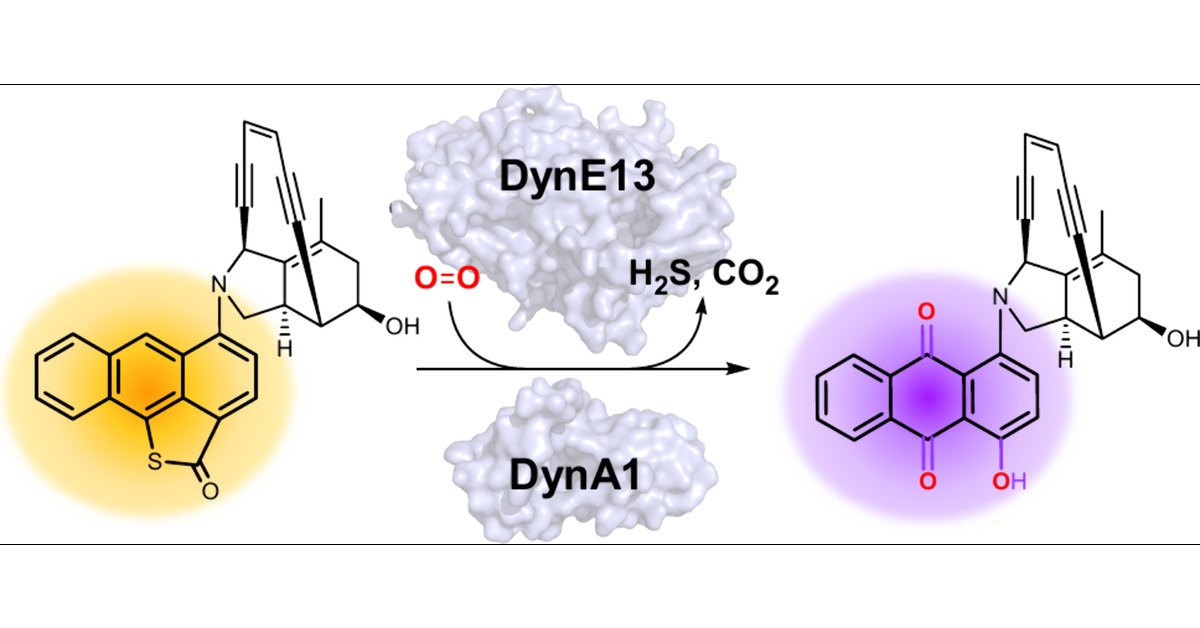 Jian_Li_SHT's tweet card. Anthraquinone-fused enediynes are anticancer natural products featuring a DNA-intercalating anthraquinone moiety. Despite recent insights into anthraquinone-fused enediyne (AQE) biosynthesis, the...