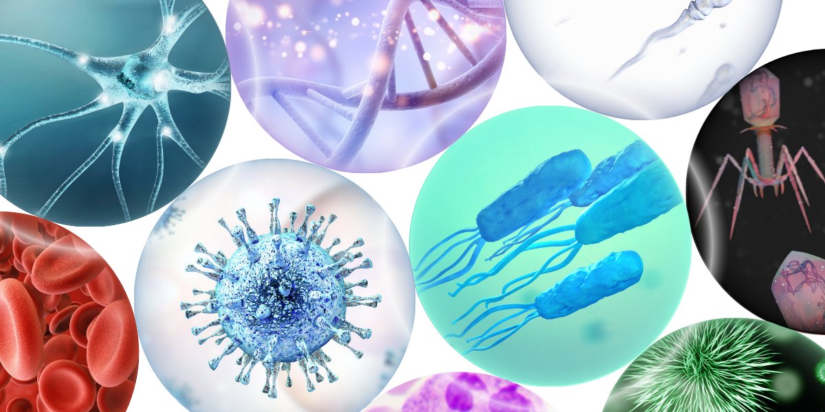 Onchip_Bio_en's tweet card. マイクロメートルスケールの微小な水滴、ドロップレット。内部に微生物や細胞などを封入することができます。最先端のドロップレット技術を研究する研究者の皆様が一同に集う、オンチップオリジナルセミナー「DROPLET2025」の公式サイトです。