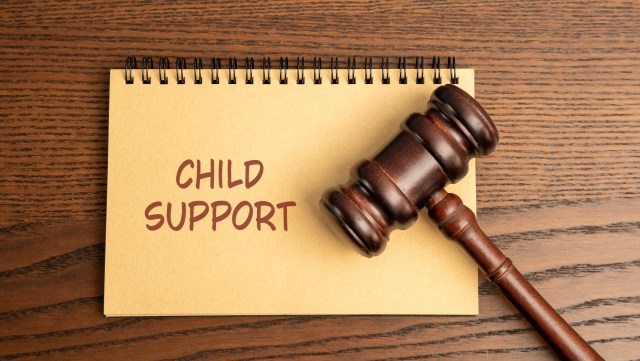 TyMastersonKS's tweet card. TOPEKA (KSNT) — Top court officials in Kansas are opening up to public comment this summer on some proposed changes to child support guidelines following the passage of a new law. The state’s…