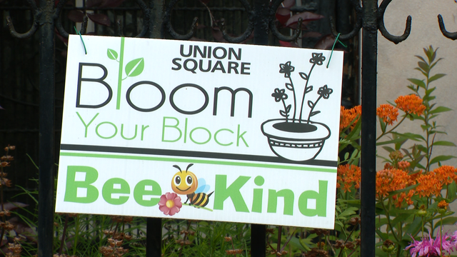 breanarossWBAL's tweet card. In the Union Square neighborhood, people will find residents busy planting flowers, placing fixtures and arranging patio furniture. There's a big reason why.