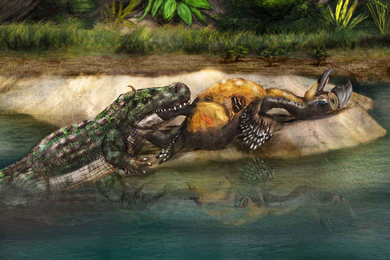 newscientist's tweet card. A 13-million-year-old leg bone from an enormous flightless bird carries crocodilian tooth marks, showing South America was once a predator-eat-predator world