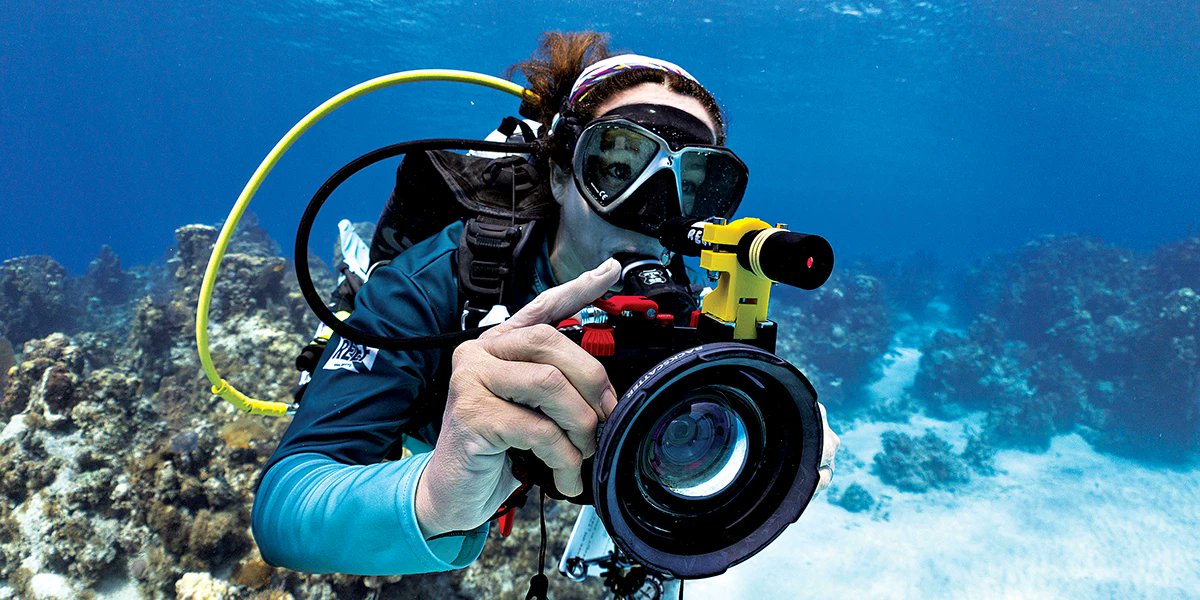 QI_UCSD's tweet card. Reef Environmental Education Foundation (REEF) has a long history of connecting the dive community to marine conservation.