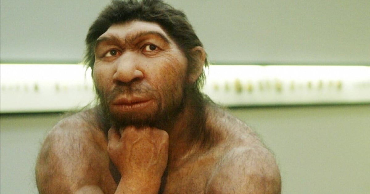 CTVVancouver's tweet card. The last Neanderthals are believed to have lived around 40,000 years ago and yet there is an element of their DNA still lingering in some modern day humans, and it’s causing a rare, but sometimes...