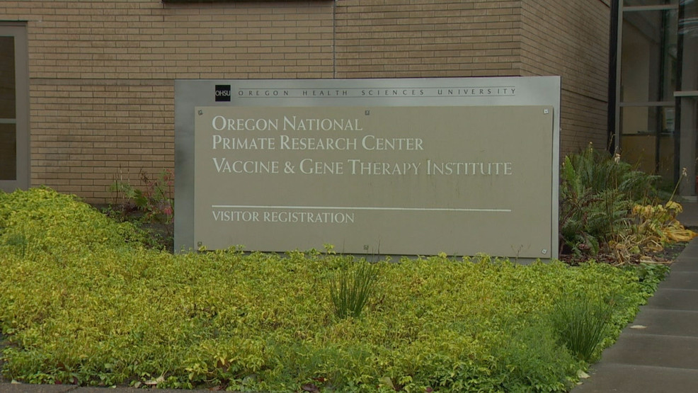 KATUNews's tweet card. An incident at Oregon Health & Science University's (OHSU) National Primate Research Center has prompted a complaint from PETA to USDA.
