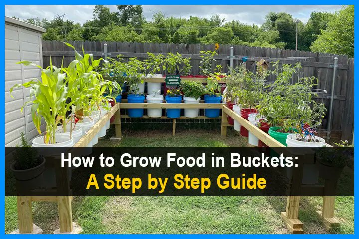 prepperalmanac's tweet card. Find out how to grow food in buckets. Here's you'll find a guide to creating wicking buckets and a chart showing what you can grow.