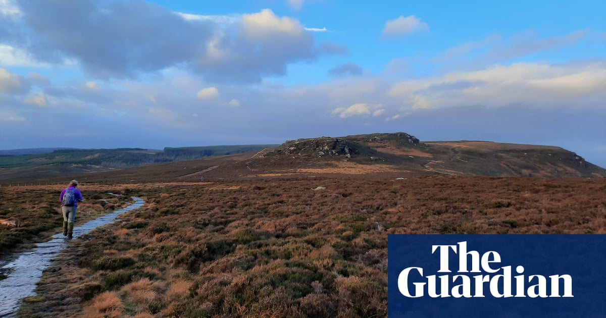 JimLabisko's tweet card. Charities plan to create flagship for nature recovery on 3,850-hectare portion of estate sold by Duke of Northumberland’s son