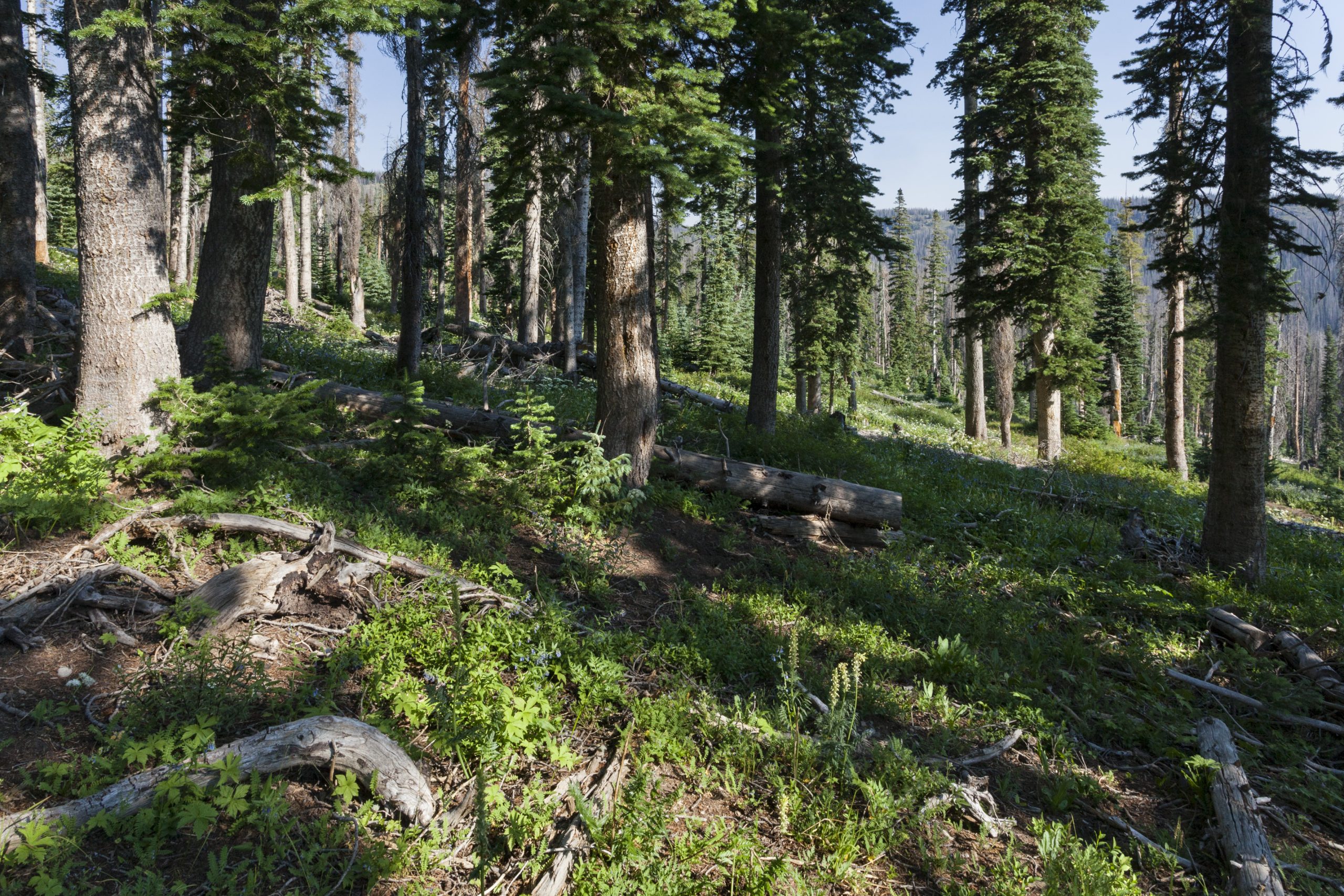 TheKeystoneCtr's tweet card. As Keystone Policy Center marks its 50th anniversary, one theme continues to define its legacy: the power of collaboration to solve the toughest natural resource challenges. Through decades of work...