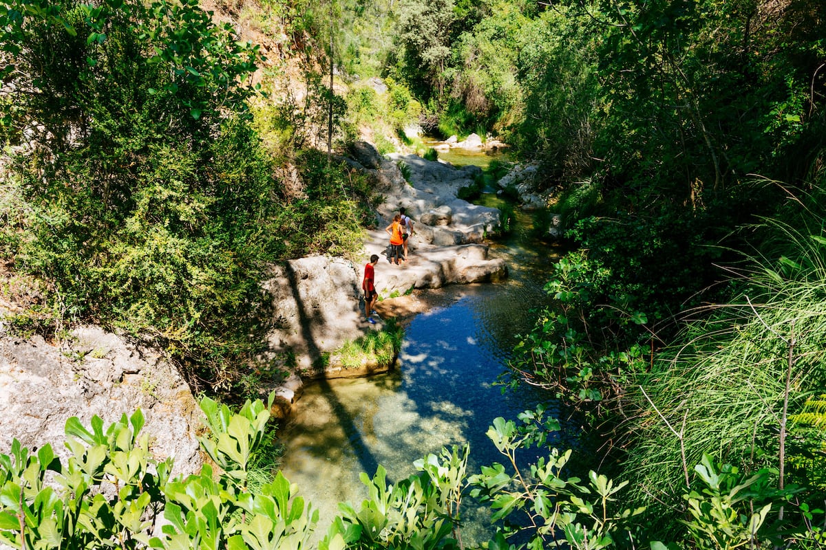 Conquinceletras's tweet card. Las playas de interior en torno a los ríos Guadalquivir y Segura, su fauna y especies endémicas, pueblos mágicos o festivales con acento rural esperan en esta Reserva de la Biosfera de la Unesco en...