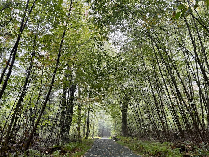 norileyben's tweet card. After a two-day search, authorities on Monday located the body of a Severna Park man who had been hiking in Shenandoah National Park.