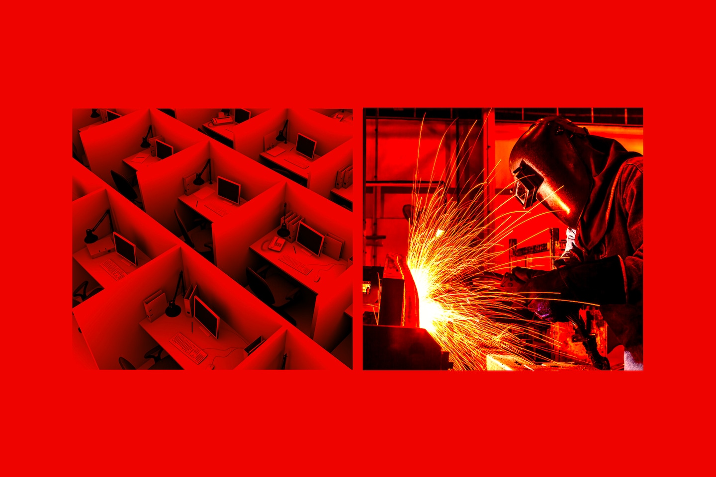 _rotimia's tweet card. A new conservative strain dreams of sending the bourgeoisie to work the factories.