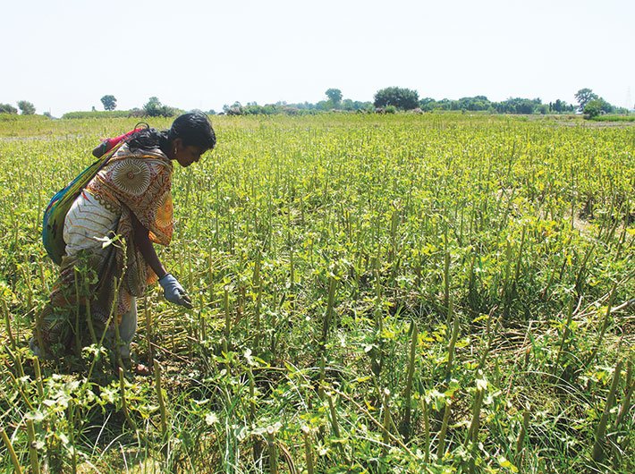 governancenow's tweet card. One of the most persistent structural issues in Indian society is the deeply entrenched gendered division of labour, where men are seen as primary earners, and women are expected to shoulder the...
