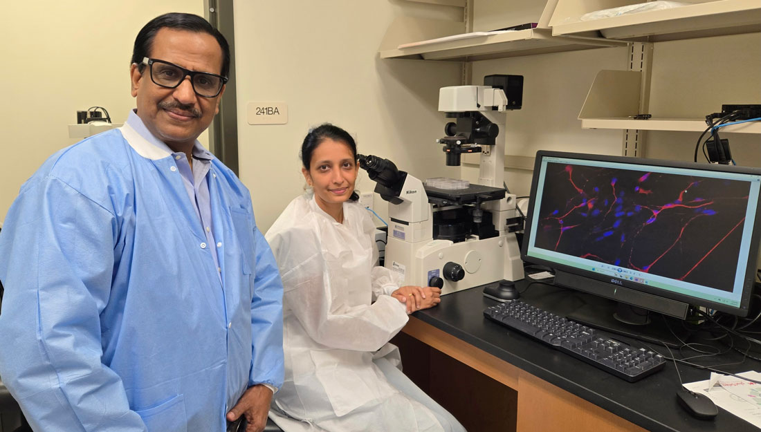 TAMUHealth's tweet card. Tiny vesicles secreted by neural stem cells may hold the key to protecting neurons in the brain from toxic proteins thought to advance Alzheimer's disease progression.
