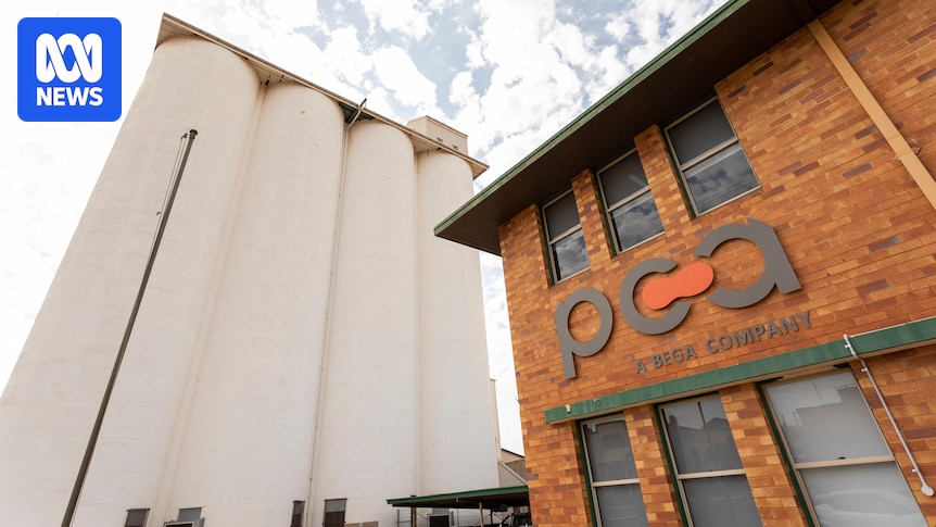 ginofarms's tweet card. Bega Group says Australia's peanut industry faces increased competition from imports and declining production.