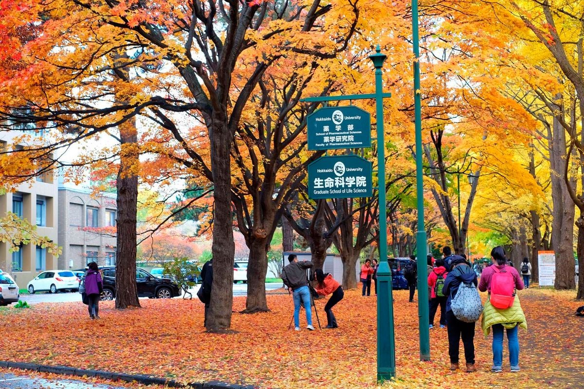 NationAfrica's tweet card. Life in Japan is expensive, but scholarships have helped ease the burden.