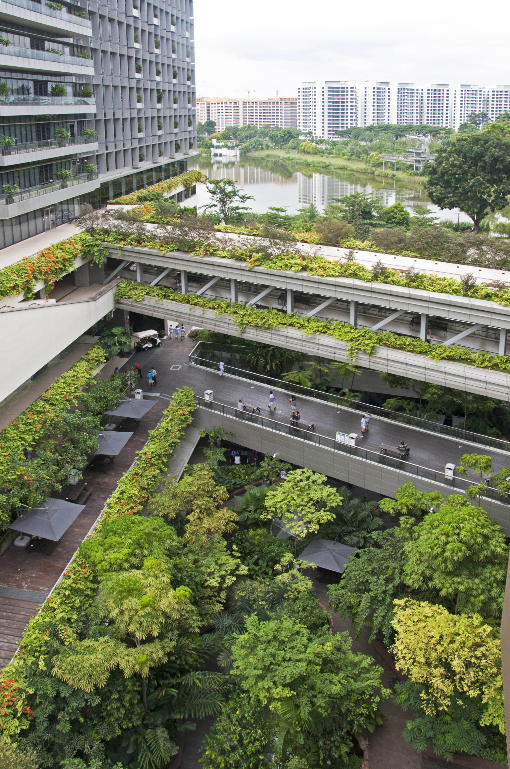 FrontierGroupUS's tweet card. Biophilic infrastructure weaves nature into our urban environment and allows these places to work with nature, making our cities more livable in the long run.