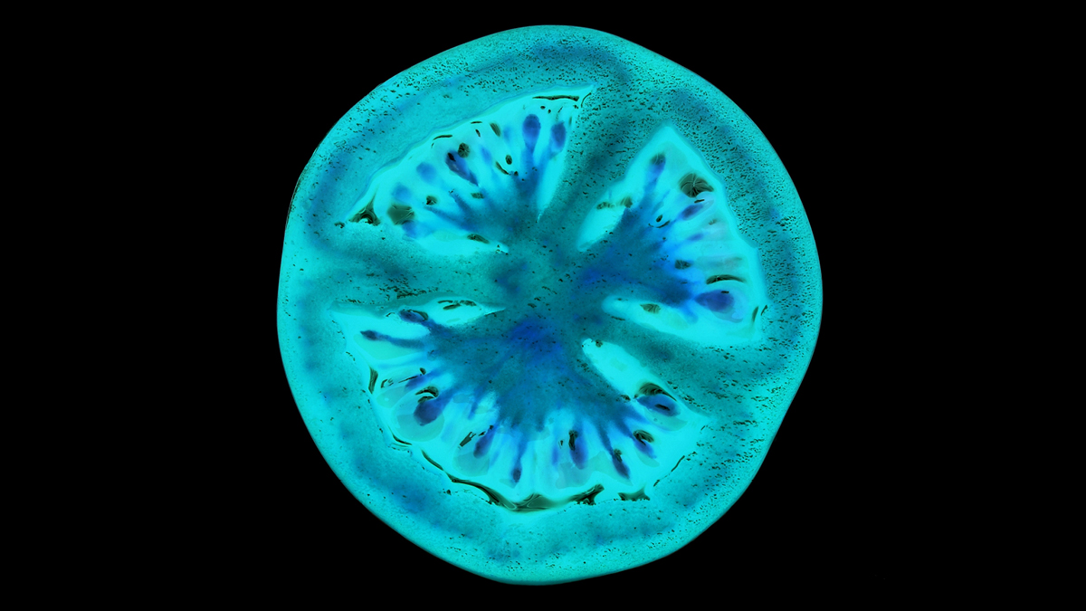 LSEnews's tweet card. Tomislav Karačić’s study into one seed sorting business finds that with thought and planning, AI can positively reshape how humans and machines work together.