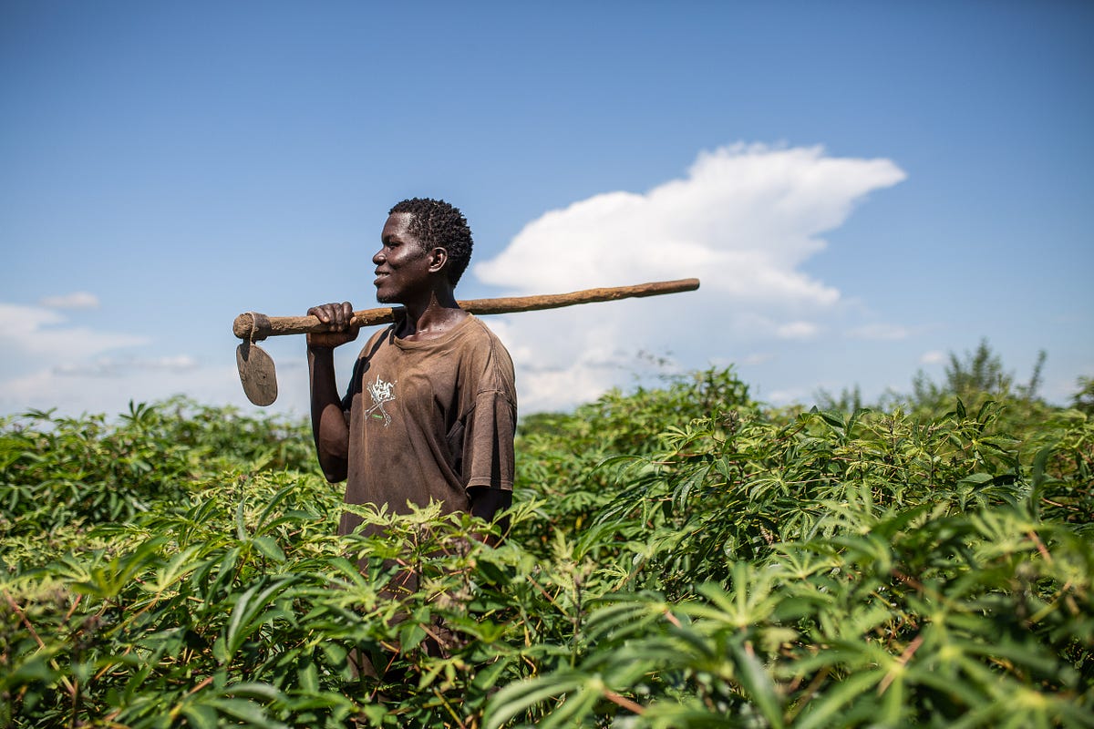 WFP_Africa's tweet card. In Uganda’s Bidibidi refugee settlement, people struggle to survive on the dwindling food rations they receive. Defying the odds of a harsh…