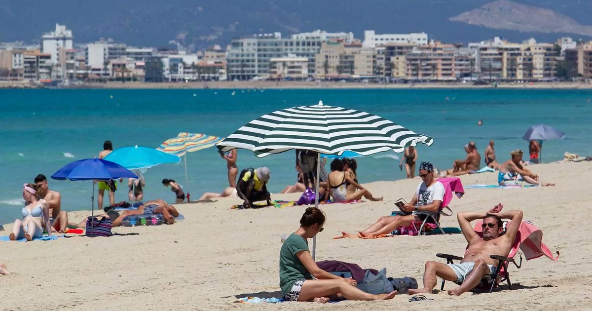 ChronicleLive's tweet card. Marine wildlife experts believe the 'severe bite' could have been caused by a triggerfish or bluefish, with reports of bites on beaches across Majorca on the rise