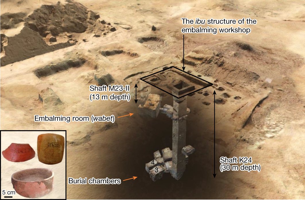 AlMittnik's tweet card. Nature - Philological analysis of labels and instructions, together with gas chromatography–mass spectrometry analysis of residues on vessels recovered from a 26th Dynasty embalming workshop...