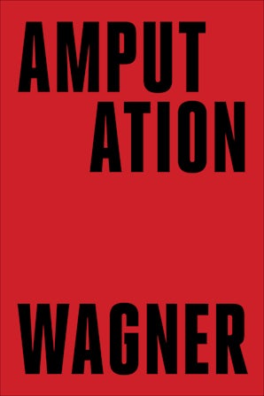 beyondzeropod's tweet card. AMPUTATION is the first novel to be written about the inferno that obliterated two Los Angeles cities in January of 2025. Major characters are comedian Steph...