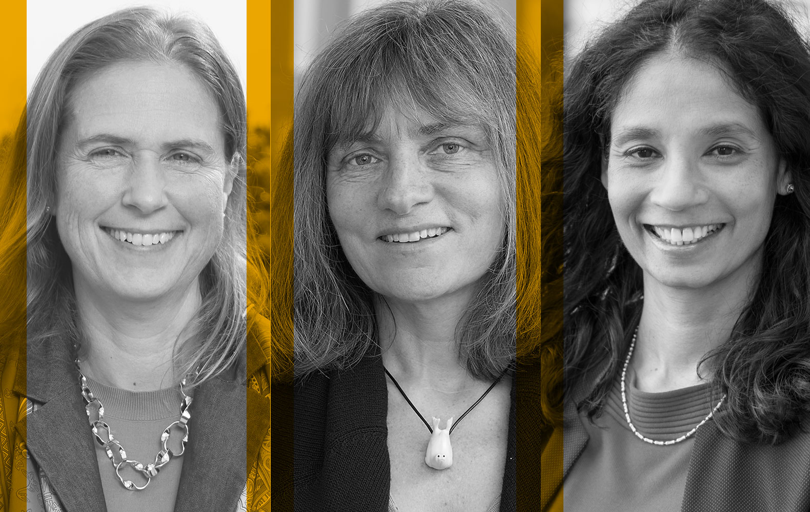 EMBO's tweet card. Outstanding female life scientists and role models.