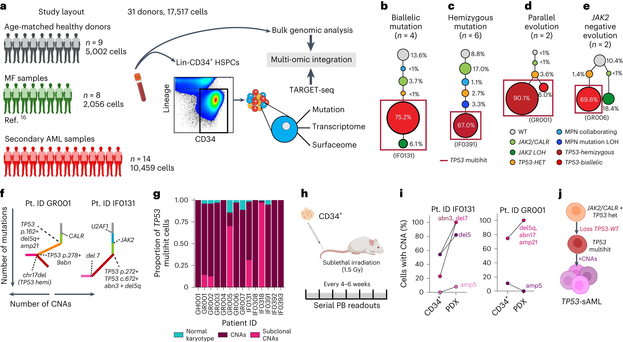 AlbaRMeira's tweet card. Nature Genetics - Single-cell multi-omic analyses show that chronic inflammation contributes to myeloproliferative neoplasm transformation to secondary acute myeloid leukemia by enhancing tumor...