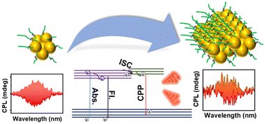 jatishkumar1's tweet card. Enantiomerically pure Au nanoclusters exhibiting dual-emission corresponding to fluorescence and phosphorescence were synthesized by adopting a facile approach. Chiral luminescence was observed for...