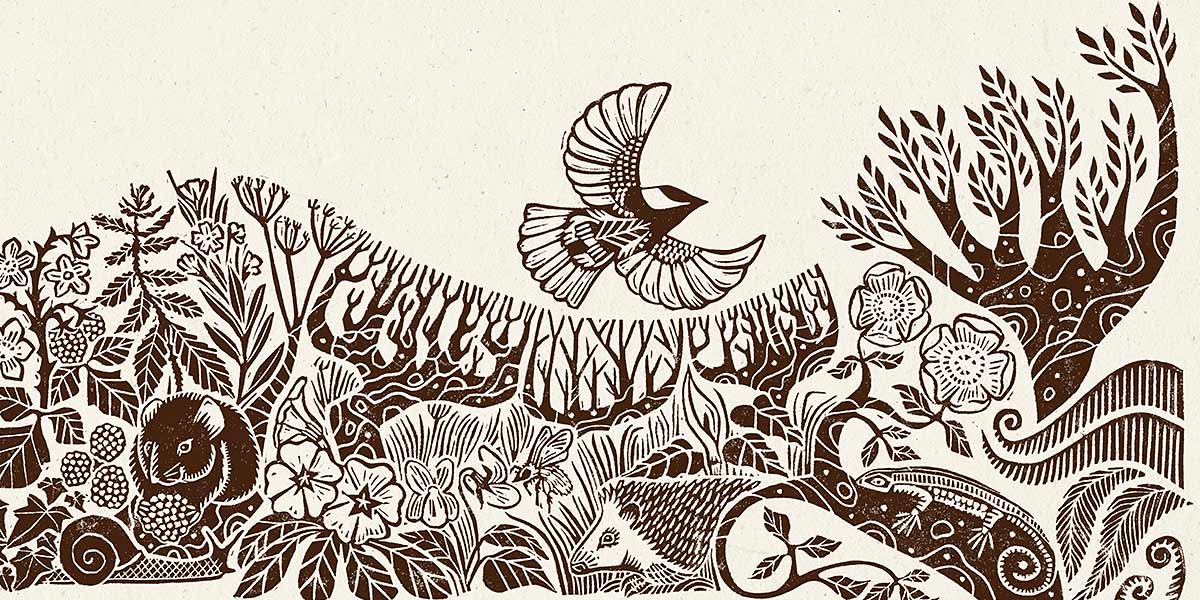 Plough's tweet card. Four thinkers stretch our understanding of disease and its remedy.